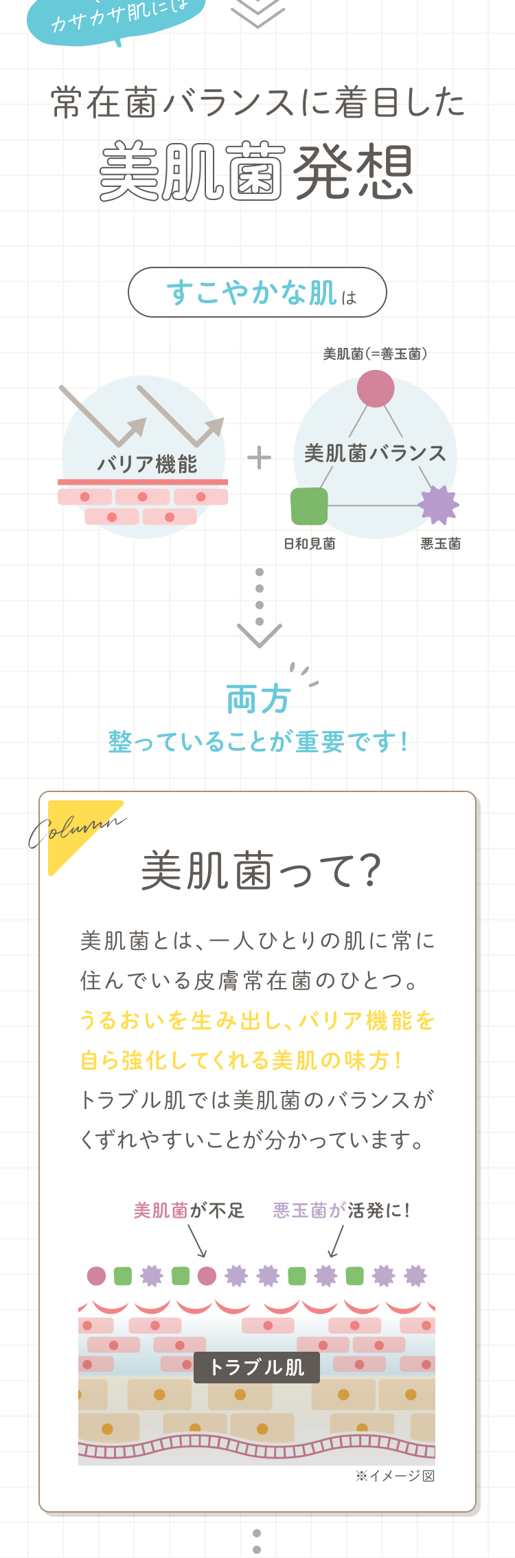 そんなカサカサ肌には美肌菌バランスに着目した美肌菌発想