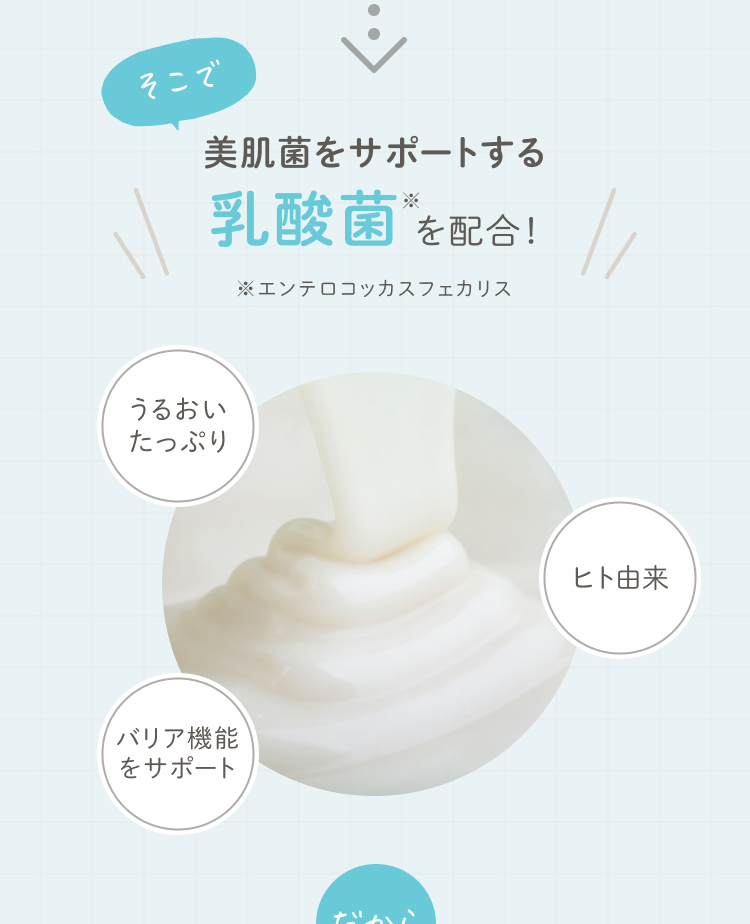 美肌菌をサポートするヒト由来乳酸菌※を配合